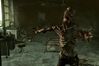 Fallout 3