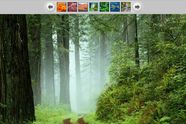 Programtips: Picasa 