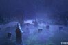 Fable 2