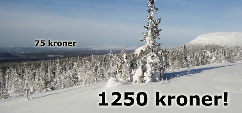 Krysser du svenskegrensen med Telenor, kan regningen hoppe med 1125 kroner for 50 MB.