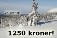 Slik tømmer operatørene lommeboken din