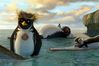 Surf's up