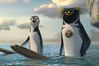 Surf's up