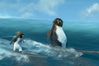Surf's up