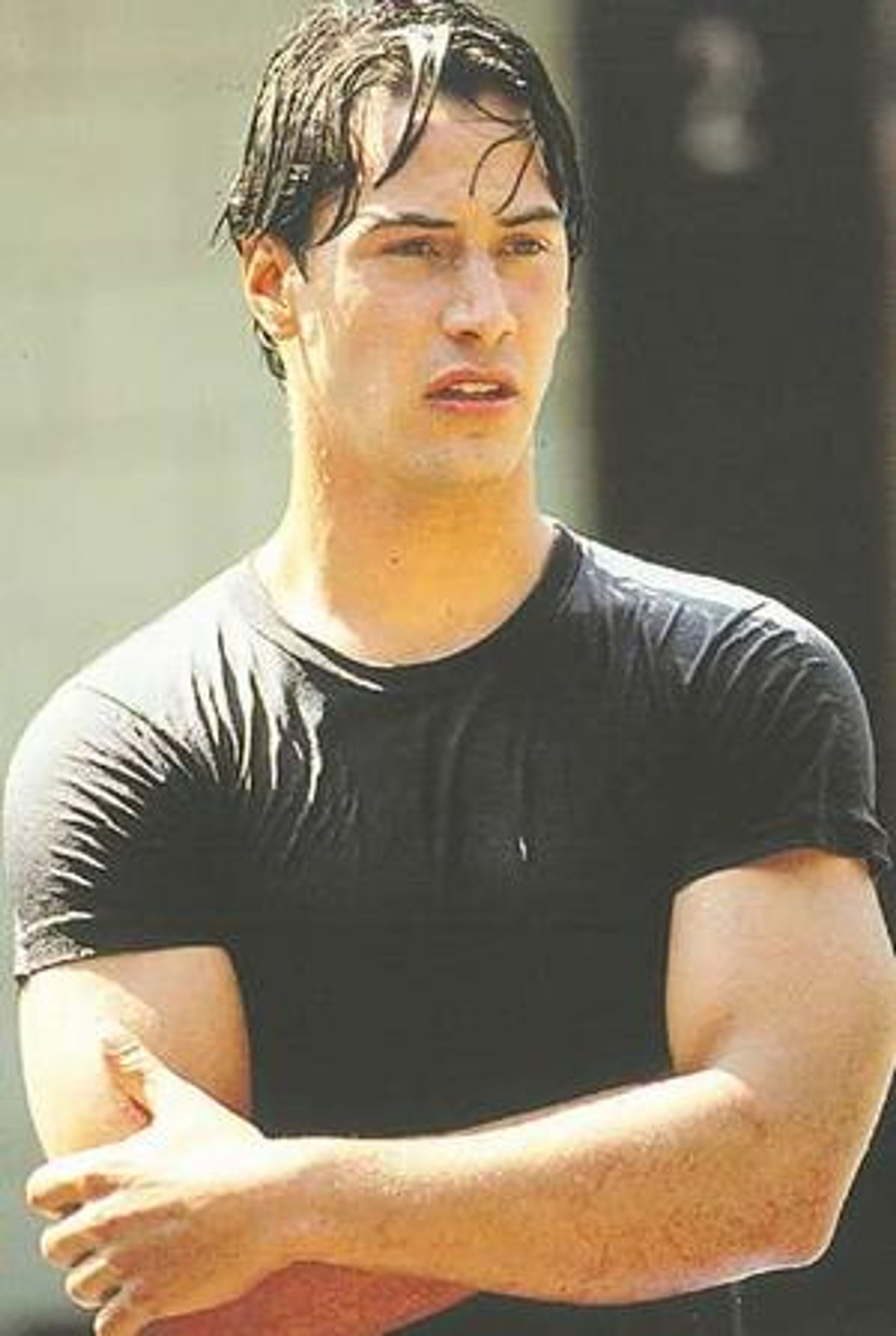 Reeves i
