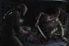 Dead Space