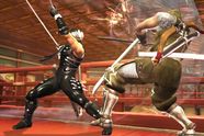 Ninja Gaiden-selskap i tr�bbel