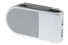 Sony ICF-304