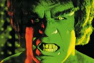 The Incredible Hulk � The Complete First Season