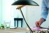 Herstal Zena bordlampe