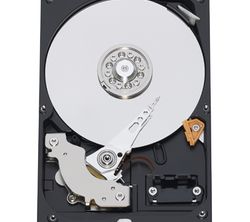 Western Digital Caviar Blue 320 GB SATA 16 MB