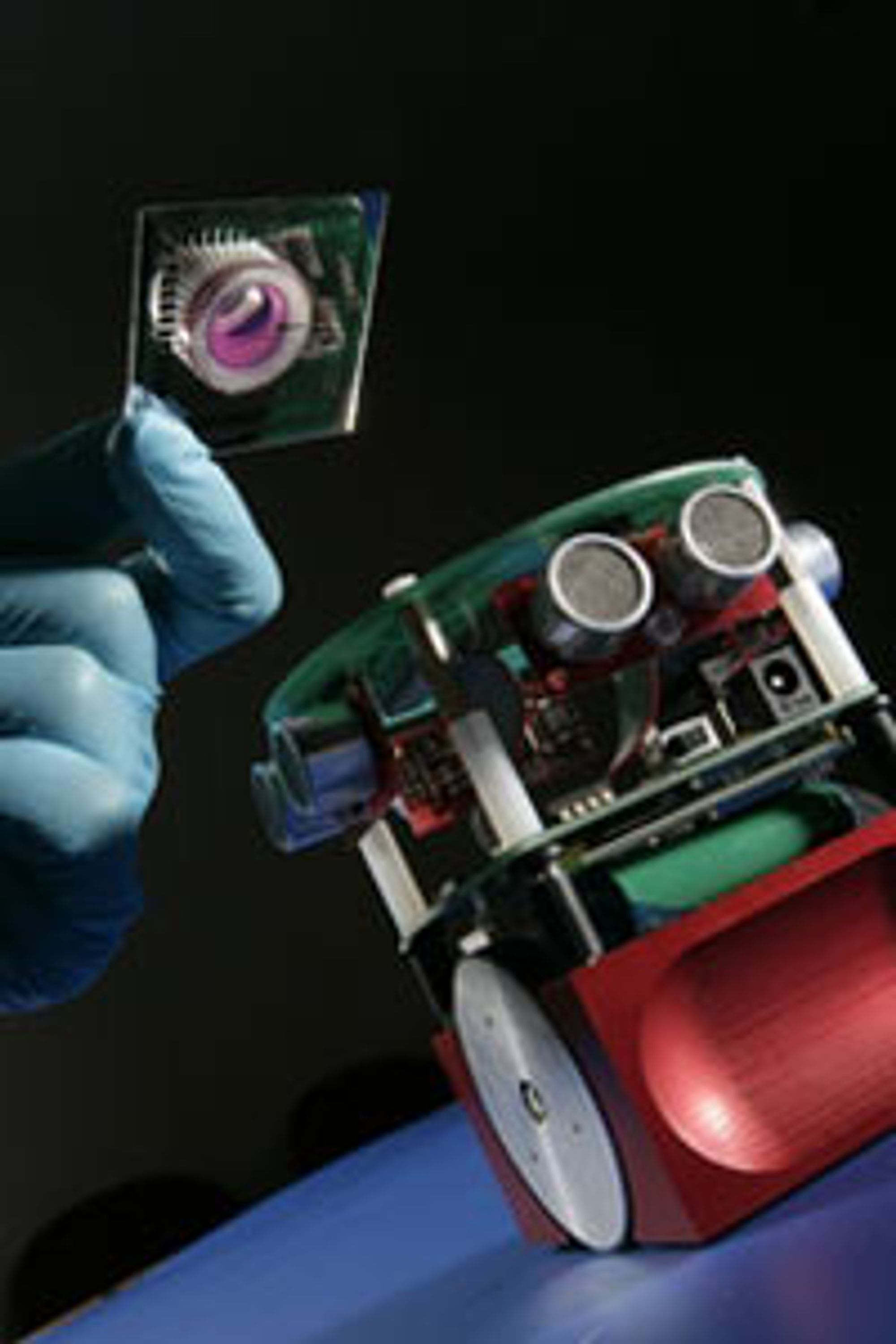 Hjernen og roboten. Foto: University of Reading