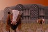 Pathologic