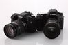 Canon EOS 5D Mark II