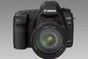 Canon EOS 5D Mark II