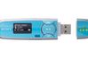 Sony NWZ-B133 1 GB