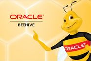Oracle lanserer samarbeidsprogramvare