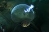 Diablo III