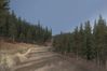 Richard Burns Rally