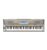 Casio WK-8000