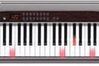 Casio PX-500L