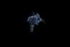 StarCraft II: Wings of Liberty