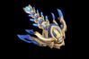 StarCraft II: Wings of Liberty