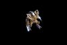 StarCraft II: Wings of Liberty
