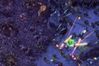 StarCraft II: Wings of Liberty