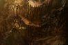 Diablo III