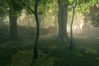 Fable 2