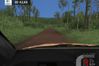 Richard Burns Rally