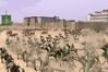 Rome: Total War