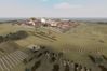 Rome: Total War