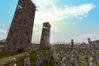 Rome: Total War