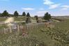 Rome: Total War