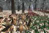 Rome: Total War