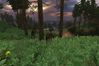 S.T.A.L.K.E.R: Shadow of Chernobyl