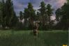 S.T.A.L.K.E.R: Shadow of Chernobyl