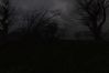 S.T.A.L.K.E.R: Shadow of Chernobyl