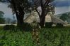 S.T.A.L.K.E.R: Shadow of Chernobyl