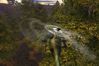S.T.A.L.K.E.R: Shadow of Chernobyl