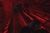 S.T.A.L.K.E.R: Shadow of Chernobyl