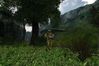 S.T.A.L.K.E.R: Shadow of Chernobyl
