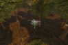 S.T.A.L.K.E.R: Shadow of Chernobyl