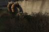 S.T.A.L.K.E.R: Shadow of Chernobyl