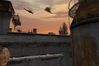 S.T.A.L.K.E.R: Shadow of Chernobyl