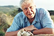 Attenborough i HD