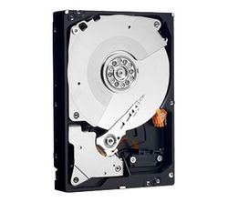 Western Digital Caviar Black 500 GB