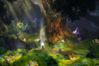 Trine